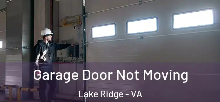  Garage Door Not Moving Lake Ridge - VA