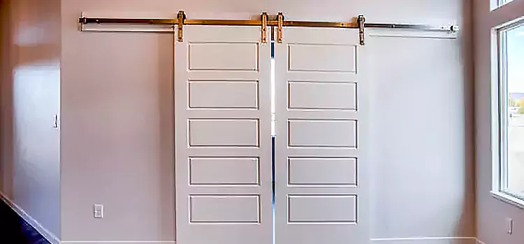 Glass Barn Door with Installation Hardware Kit Lake Ridge