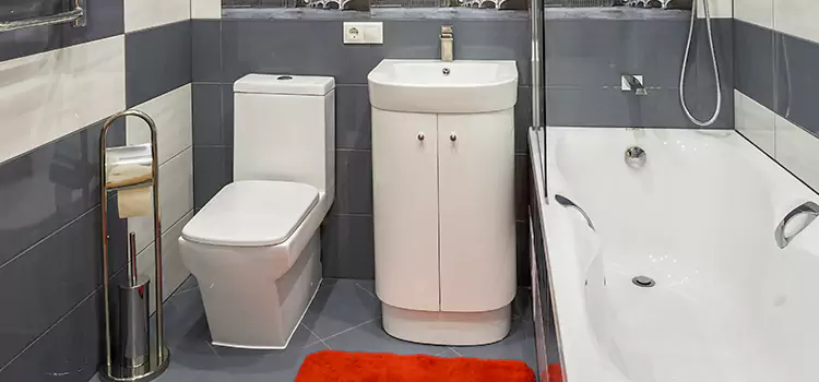 Hansgrohe Shaving Mirror Lake Ridge