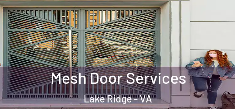Mesh Door Services Lake Ridge - VA